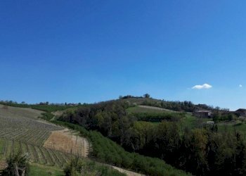 Vista - Rustico Borgata Valdibà, 108, Dogliani - foto 16
