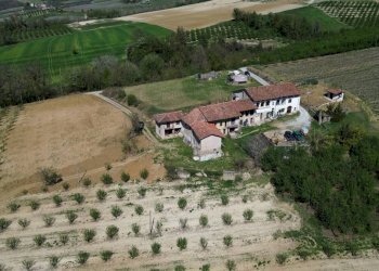 Terreno - Rustico Borgata Valdibà, 108, Dogliani - foto 24
