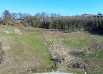 Terreno - Terreno edificabile via Alba, Monforte d'Alba - foto 14