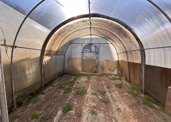 Giardino - Box via Basse Sant'Anna, 15, Cuneo (neighborhood Centro) - photo 8