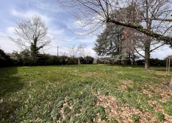 Terreno - Rustico via Sant'Anselmo, frazione Madonna Delle Grazie, Cuneo - foto 30