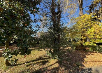 Giardino - Villa via Stazione, 1, Boves - photo 30