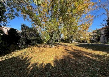 Giardino - Villa via Stazione, 1, Boves - photo 31