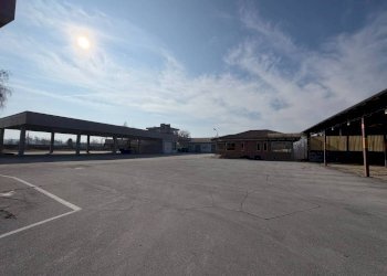 Magazzino - Magazzino via Bisalta, 60, frazione Madonna Delle Grazie, Cuneo - foto 38