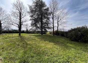 Giardino - Stabile - Palazzo via Sant'Anselmo, frazione Madonna Delle Grazie, Cuneo - foto 22