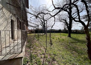 Giardino - Stabile - Palazzo via Sant'Anselmo, frazione Madonna Delle Grazie, Cuneo - foto 23
