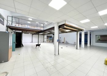 Magazzino - Shop via Massimo d'Azeglio, 5, Cuneo (neighborhood Centro) - photo 2