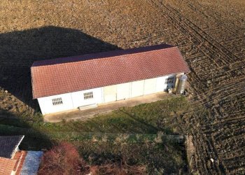 Magazzino - Magazzino via della Costa, Torre Bormida - foto 6