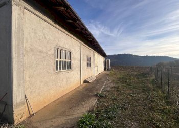 Magazzino - Magazzino via della Costa, Torre Bormida - foto 10