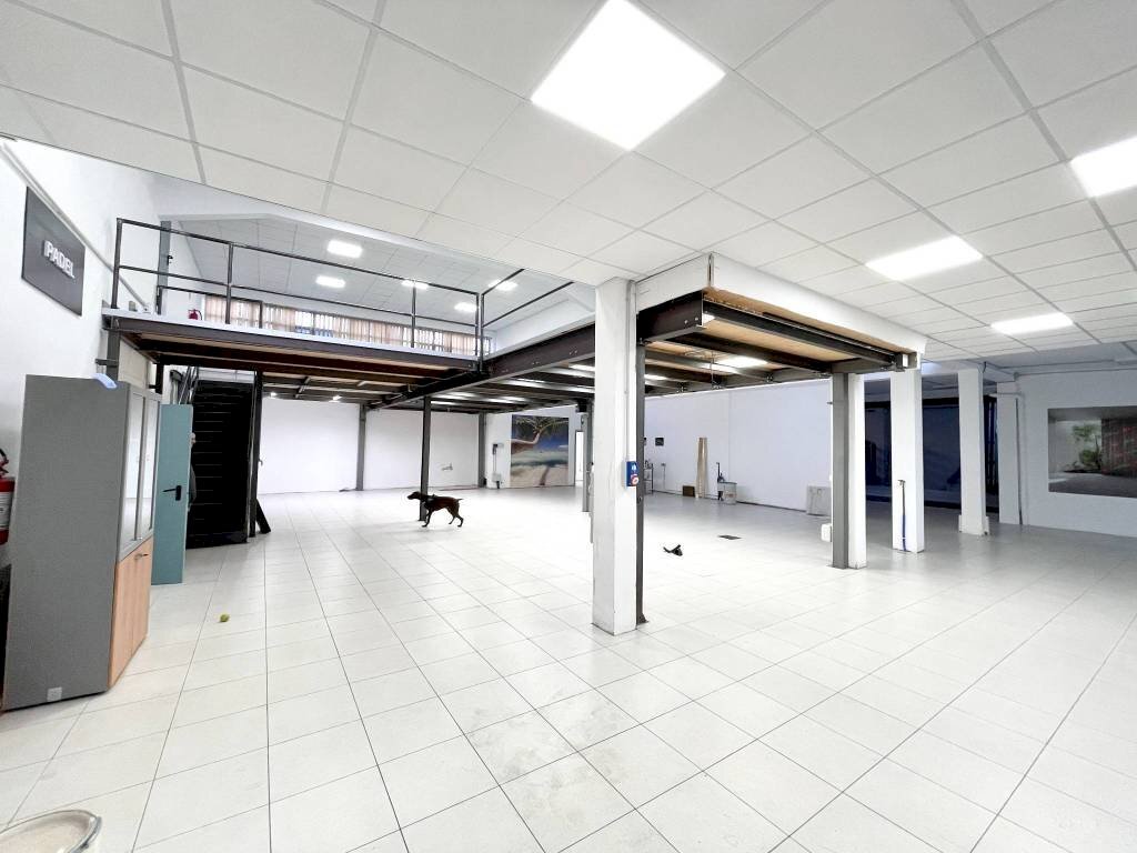 Magazzino - Negozio via Massimo d'Azeglio, 5, Cuneo (zona Centro) - foto 3