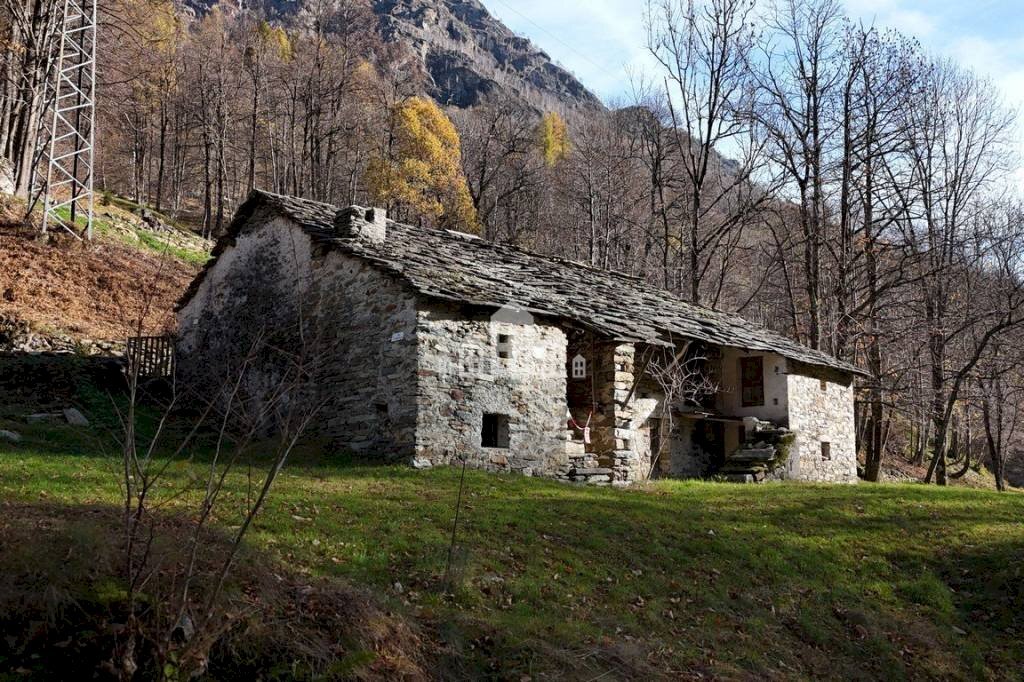 Terreno - Rustico Località Pratoroglio, snc, Traversella - foto 1