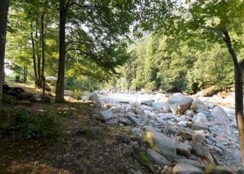 Terreno - Rustico Località Pratoroglio, snc, Traversella - foto 12