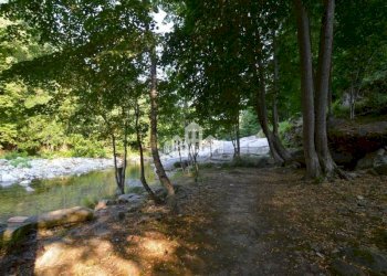 Terreno - Rustico Località Pratoroglio, snc, Traversella - foto 24