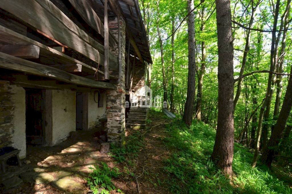 Giardino - Rustic Regione Seneglia, snc, Valchiusa - photo 2