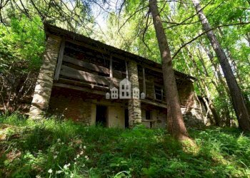 Terreno - Rustic Regione Seneglia, snc, Valchiusa - photo 4