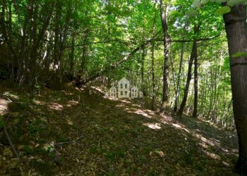 Terreno - Rustic Regione Seneglia, snc, Valchiusa - photo 5