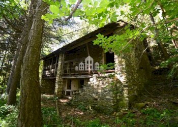 Giardino - Rustic Regione Seneglia, snc, Valchiusa - photo 6