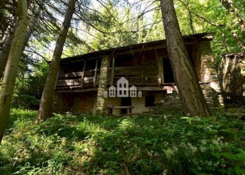 Terreno - Rustic Regione Seneglia, snc, Valchiusa - photo 7