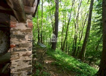 Giardino - Rustic Regione Seneglia, snc, Valchiusa - photo 8