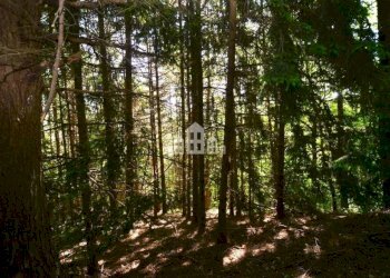 Terreno - Rustic Regione Seneglia, snc, Valchiusa - photo 22