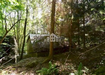 Terreno - Rustic Regione Seneglia, snc, Valchiusa - photo 24