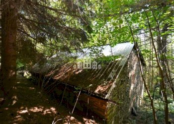 Terreno - Rustic Regione Seneglia, snc, Valchiusa - photo 25