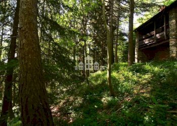 Terreno - Rustic Regione Seneglia, snc, Valchiusa - photo 27