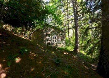 Terreno - Rustic Regione Seneglia, snc, Valchiusa - photo 28