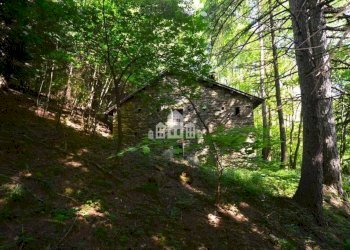 Terreno - Rustic Regione Seneglia, snc, Valchiusa - photo 31