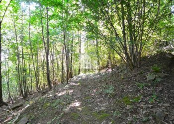 Terreno - Rustic Regione Seneglia, snc, Valchiusa - photo 32