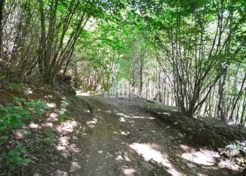 Terreno - Rustic Regione Seneglia, snc, Valchiusa - photo 33