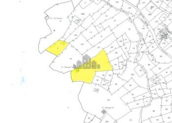 Planimetria - Rustic Regione Seneglia, snc, Valchiusa - photo 35