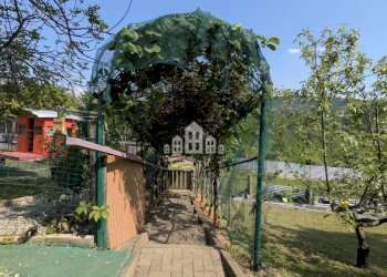 Giardino - Villa Frazione Braida, 21B, Canischio - photo 41