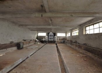 Magazzino - Independent house Frazione Spineto, Snc, Castellamonte - photo 23