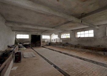 Magazzino - Independent house Frazione Spineto, Snc, Castellamonte - photo 24