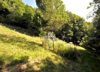 Terreno - Casa indipendente Località Vernetto, snc, Frassinetto - foto 23