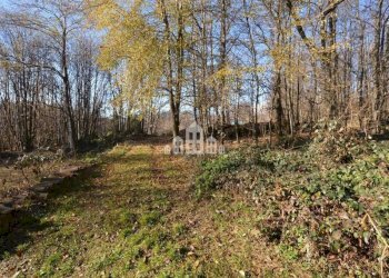 Terreno - Casa indipendente Regione Luvera, 24, Vistrorio - foto 32