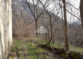 Terreno - Rustic regione cinaver, scn, Noasca - photo 15