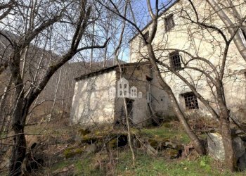 Terreno - Rustic regione cinaver, scn, Noasca - photo 21