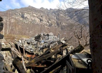 Terreno - Rustic regione cinaver, scn, Noasca - photo 22