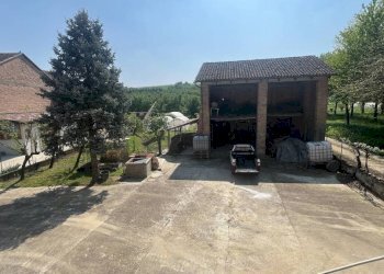Terreno - Rustico Frazione Gorzano, 95, San Damiano d'Asti - foto 26