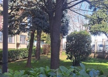Giardino - Trilocale via Cogne, 7, Milano - foto 42