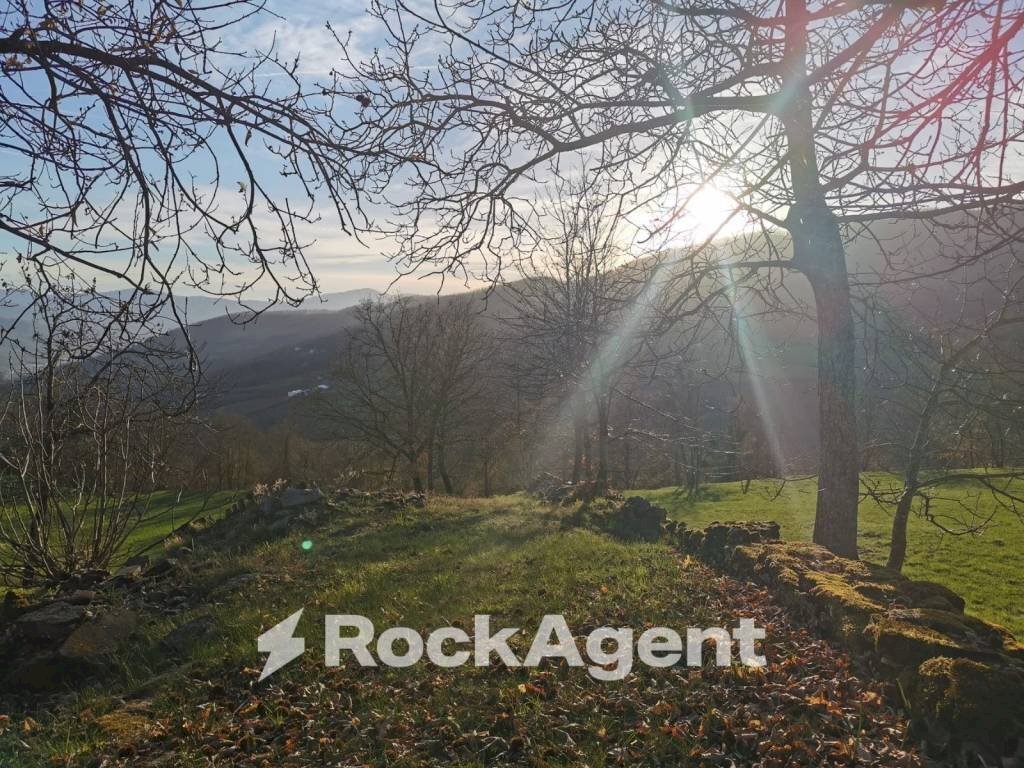 Giardino - Attività Commerciale via Piave, Borgo Val di Taro - foto 1