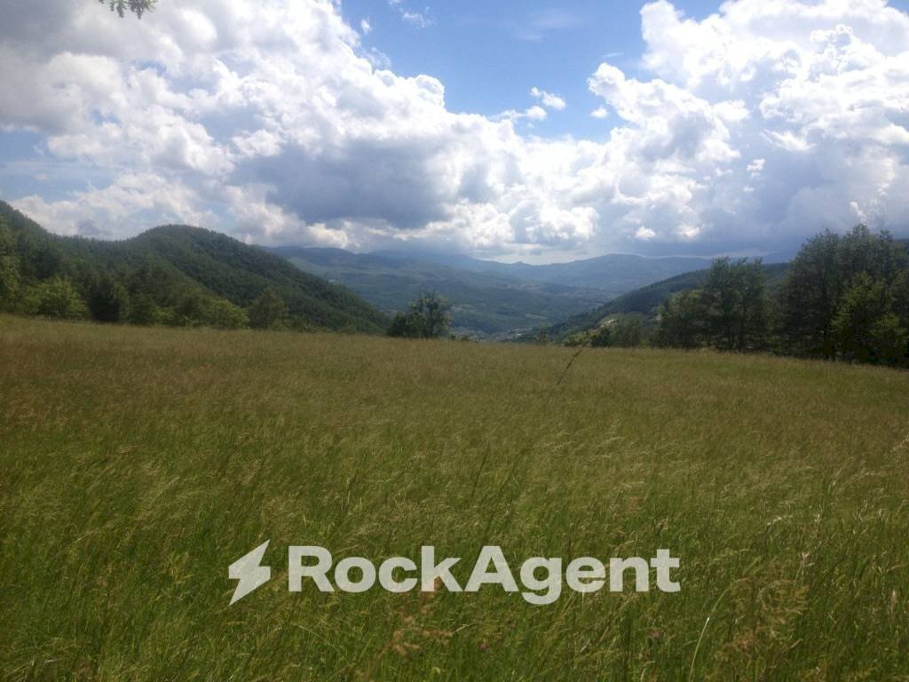 Terreno - Attività Commerciale via Piave, Borgo Val di Taro - foto 3