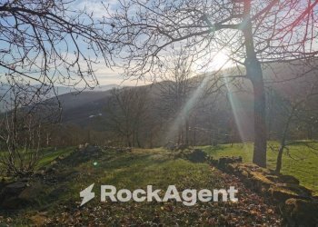 Giardino - Attività Commerciale via Piave, Borgo Val di Taro - foto 1