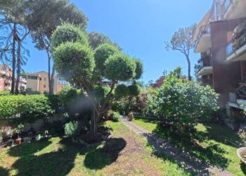 Giardino - Quadrilocale via Gravina di Puglia, Roma - foto 18