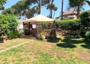Giardino - Quadrilocale via Gravina di Puglia, Roma - foto 20