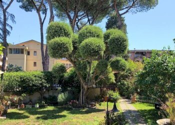 Giardino - Quadrilocale via Gravina di Puglia, Roma - foto 21