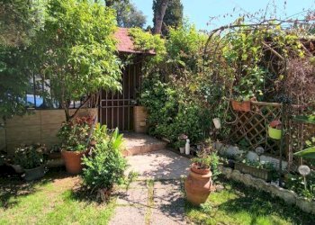 Giardino - Quadrilocale via Gravina di Puglia, Roma - foto 30