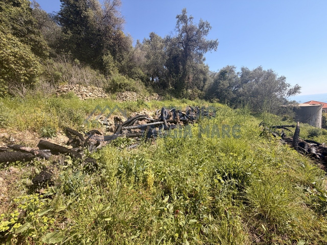 3.JPG - Building land Via Borgo, Terzorio - photo 3